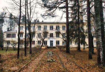 Комарово. Аудиопрогулка по Морской стороне - photo 2