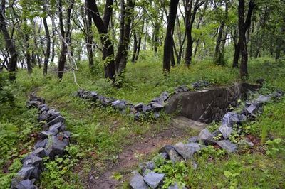 Остров Попова: прогулка на краю света - photo 4