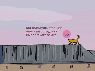 Путешествие во времени: обзорная прогулка по Выборгу - photo 4