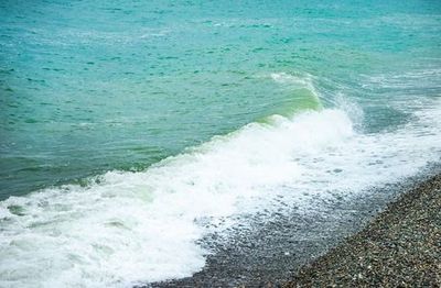 Батумский бульвар: Все секреты жемчужины Черного моря в одной аудиопрогулке - photo 4