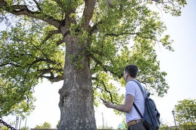 Культурный код Шапсугии - photo 4