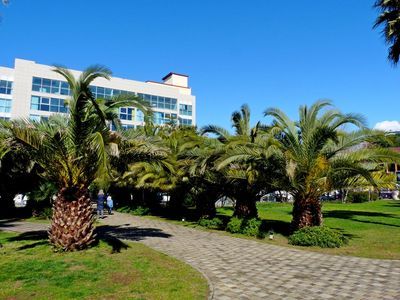 Сочи: Аудиоэкскурсия по сочинскому «Арбату» — улице Навагинской - photo 3