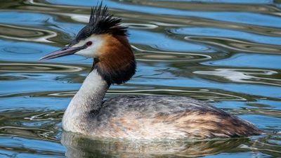 Место силы. Плещеево озеро - photo 3