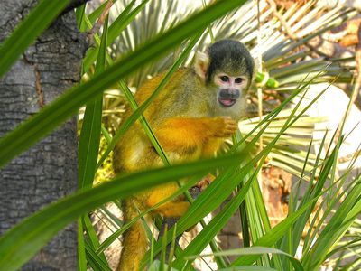 Terra Natura & Aqua Natura Бенидорм: Комбинированный входной билет - photo 4