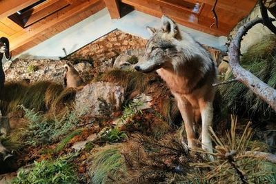 Музей Лузерна: Входной билет - photo 3