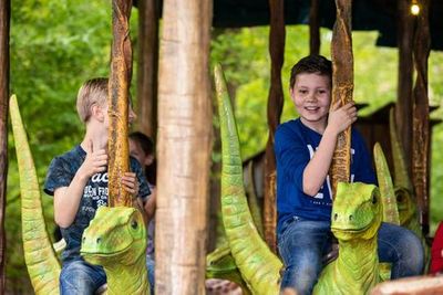 GaiaZOO: Входной билет - photo 3