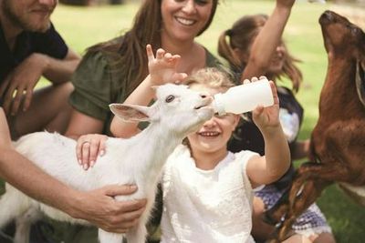 Парк дикой природы Оквейл: Входной билет - photo 4