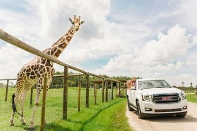 Вход в парк сафари Wild Florida Drive-Thru - photo 3