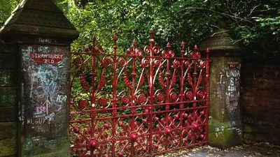 Земляничное поле: Входной билет - photo 4