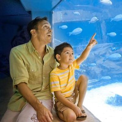 Парк Sea Life на Гавайях: Входной билет - photo 4