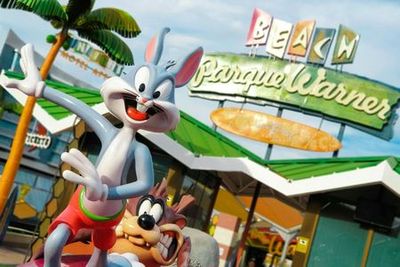 Парк Уорнер Мадрид и пляж Уорнер: Входной билет - photo 3