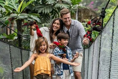 Парк птиц на Бали: Входной билет - photo 3