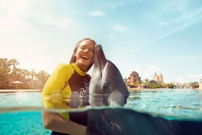 Aquaventure: Входной билет + встреча с дельфинами в деревне Атлас - photo 3