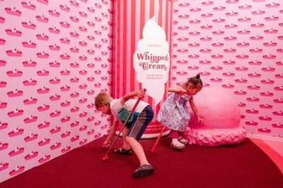 Музей мороженого в Чикаго: VIP-билет в любое время - photo 4