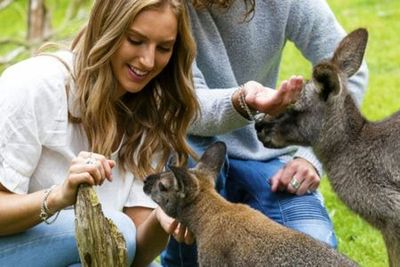 Парк дикой природы Moonlit Sanctuary: Входной билет - photo 3