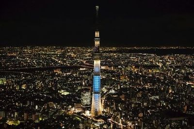 Билет на Tokyo Skytree и 24-часовое метро Токио - photo 4