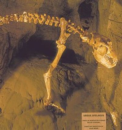 Пещеры Тоирано: Билет с быстрым входом - photo 3