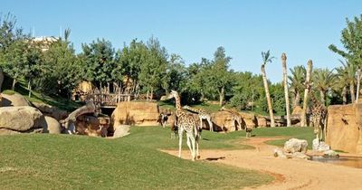 Bioparc Valencia: Fast Track Ticket - photo 4