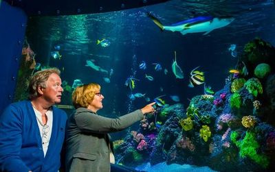 SEA LIFE Konstanz: Entry Ticket - photo 4