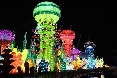 Dubai Garden Glow: Entry Ticket - photo 3