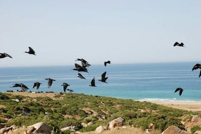 Парк Natura Viva: билет с открытой датой - photo 4