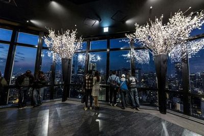 Токийская башня: вход на главную палубу + билет в токийское метро - photo 4