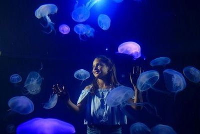 Аквариум Пальмы: Входной билет + трансфер из района Кальвиа - photo 4