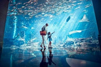 Аквариум Lost Chambers: Входной билет - photo 3