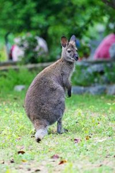 FyZoo: Входной билет - photo 4