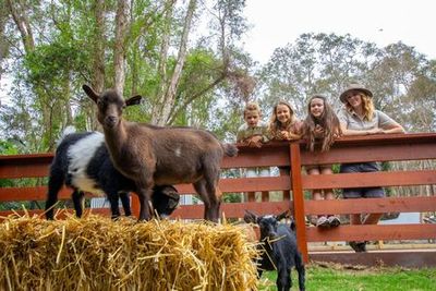 Заповедник Керрамбин: Входной билет - photo 4