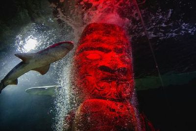 МОРСКАЯ ЖИЗНЬ Аквариум Келли Тарлтон: Билет с входом без очереди - photo 3