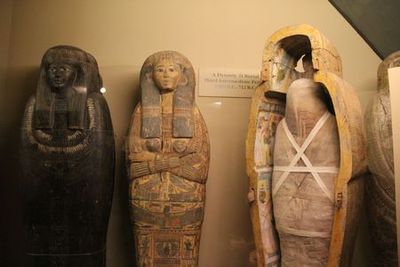 Музей естественной истории Филда в Чикаго: билет и аудиоэкскурсия в приложении - photo 4