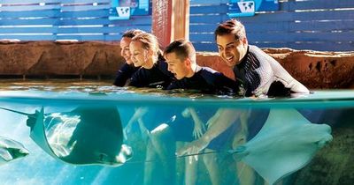 Зоопарк в Лоури-парке: Билет с быстрым входом - photo 4