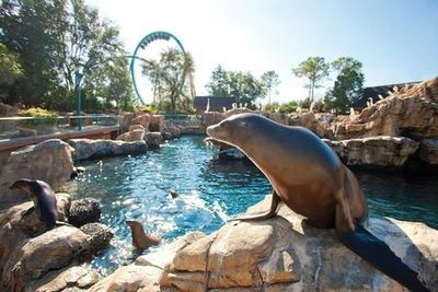 SeaWorld Орландо: входной билет с дополнительной быстрой очередью - photo 4