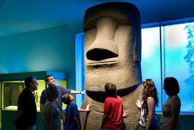 Американский музей естественной истории (AMNH): Плюс один билет - photo 3