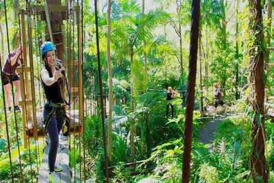 Заповедник Currumbin Wildlife Sanctuary and TreeTop Challenge: комбинированный билет - photo 3