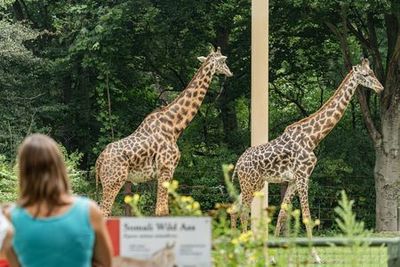 Зоопарк Франклин-Парк: Входной билет - photo 3