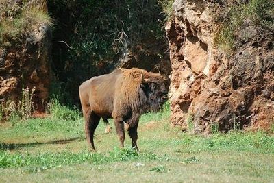 Природный парк Кабарцено: Входной билет - photo 4