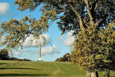 Дворец Бленхейм: Входной билет - photo 3