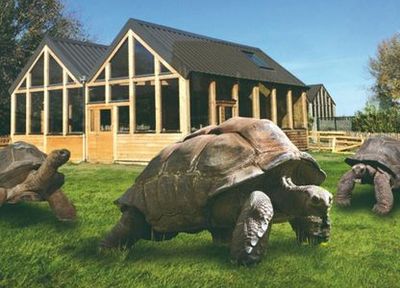 Аллигаторская бухта: Входной билет - photo 3