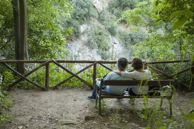 Вилла Грегориана: Входной билет - photo 3