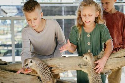 Парк дикой природы Хантер-Валли: Входной билет - photo 3