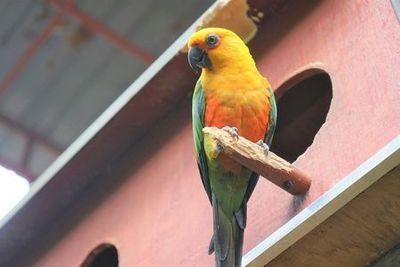 Парк дикой природы Лангкави: Входной билет - photo 3