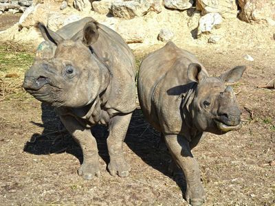 Terra Natura Benidorm: Входной билет - photo 3