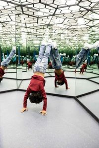 Музей иллюзий Чикаго: Входной билет - photo 4