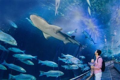 Аквариум залива: Входной билет - photo 3