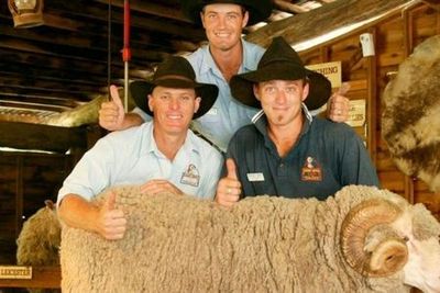 Райская страна: входной билет + завтрак с коалой - photo 3