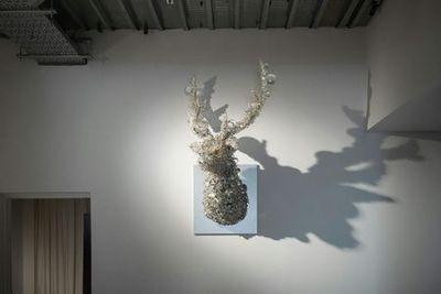 Музей Уэсима: Входной билет - photo 3