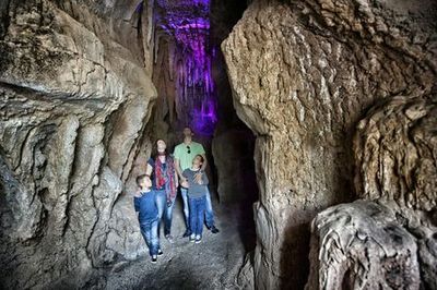 Зоопарк Jungle Park: Входной билет - photo 3