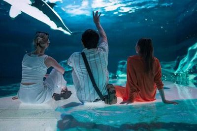 Музей цифровых технологий в Стамбуле: входной билет - photo 3